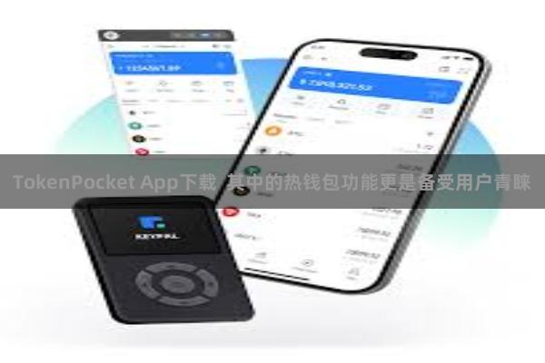 TokenPocket App下载  其中的热钱包功能更是备受用户青睐